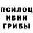 Галлюциногенные грибы мицелий L_r