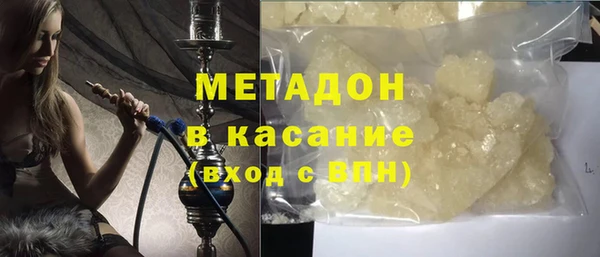 индика Алексин