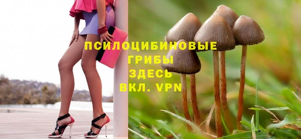 прущие крисы Алзамай