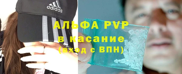 индика Алексин
