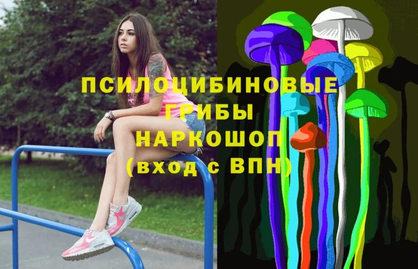 индика Алексин