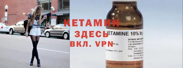 индика Алексин