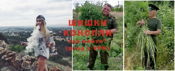 прущие крисы Алзамай