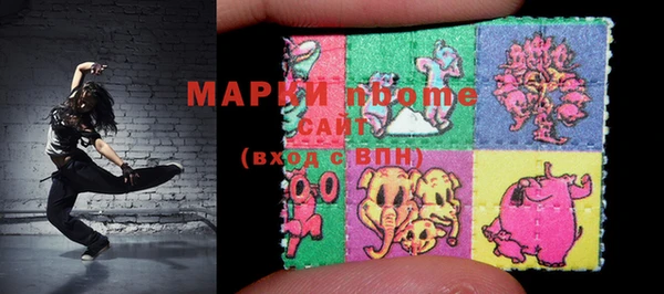 индика Алексин