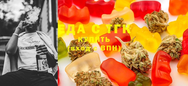 индика Алексин