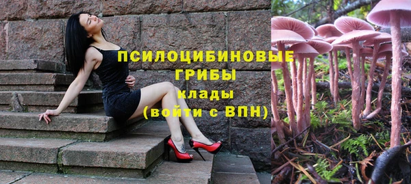 индика Алексин