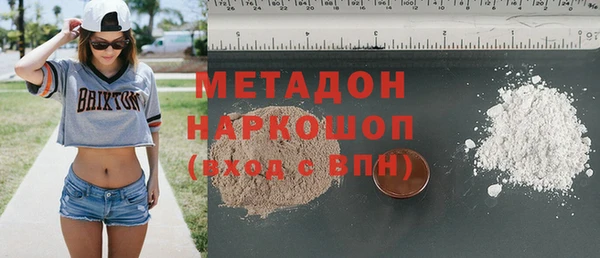 индика Алексин