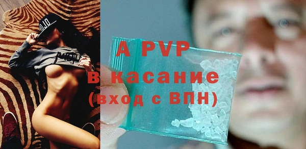 индика Алексин