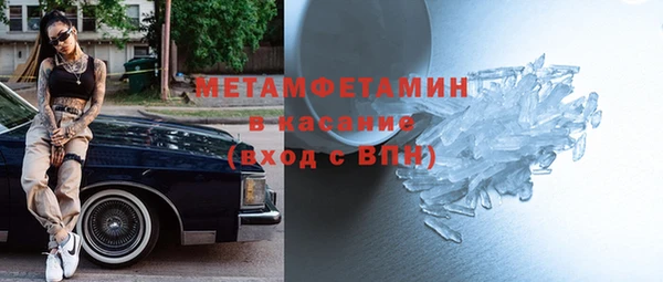 индика Алексин
