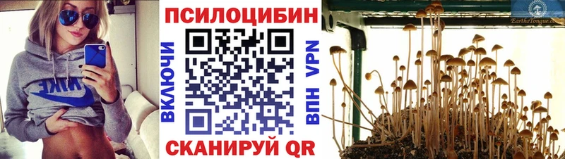 Галлюциногенные грибы ЛСД  Перевоз 